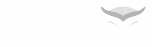 Blog DoCode